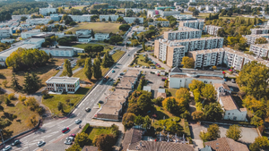 Enlèvement arbre urgence Annemasse